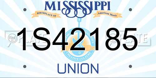 1S42185 Mississippi License Plate
