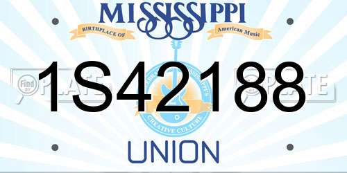 1S42188 Mississippi License Plate