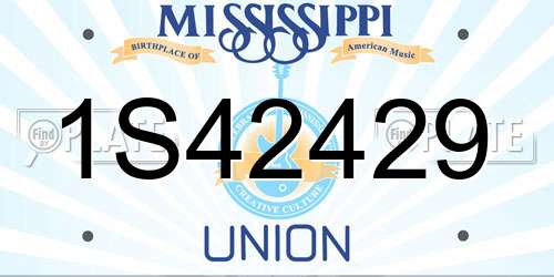 1S42429 Mississippi License Plate