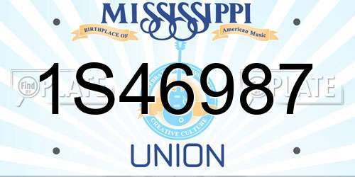 1S46987 Mississippi License Plate