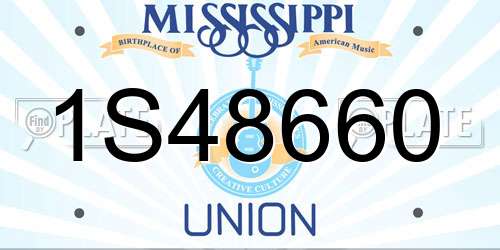1S48660 Mississippi License Plate