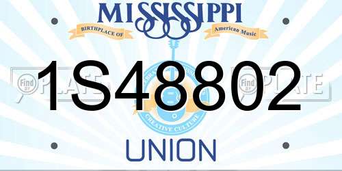 1S48802 Mississippi License Plate