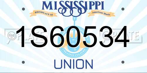 1S60534 Mississippi License Plate