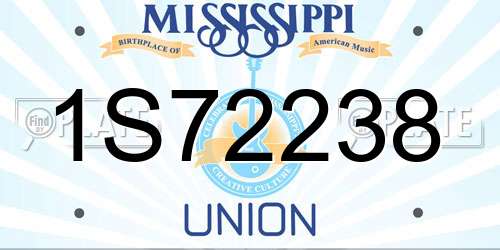 1S72238 Mississippi License Plate