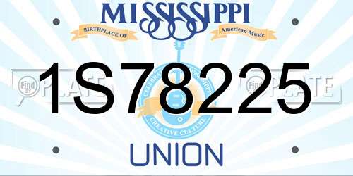 1S78225 Mississippi License Plate