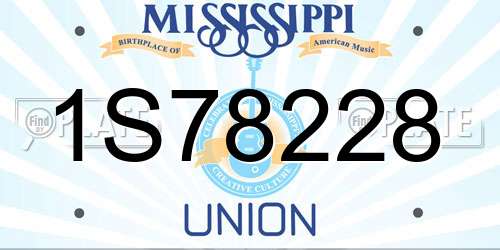 1S78228 Mississippi License Plate
