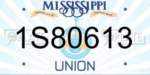 1S80613 Mississippi License Plate