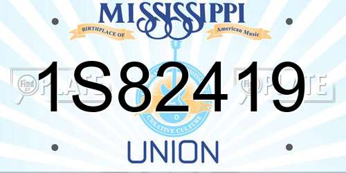 1S82419 Mississippi License Plate
