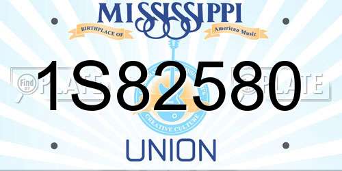 1S82580 Mississippi License Plate