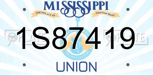 1S87419 Mississippi License Plate