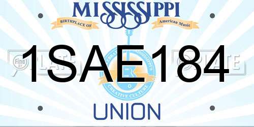 1SAE184 Mississippi License Plate