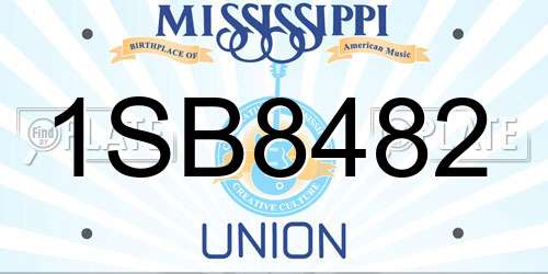 1SB8482 Mississippi License Plate