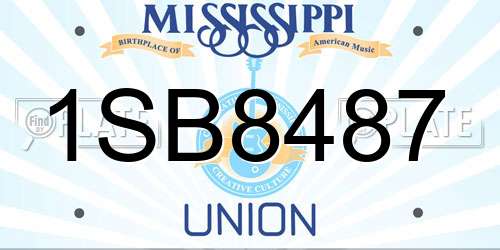 1SB8487 Mississippi License Plate