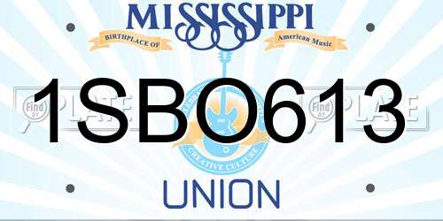 1SBO613 Mississippi License Plate