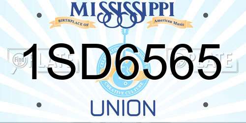 1SD6565 Mississippi License Plate