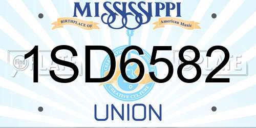 1SD6582 Mississippi License Plate