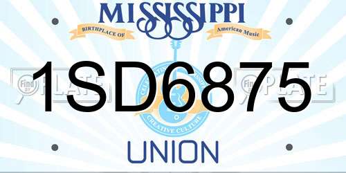 1SD6875 Mississippi License Plate