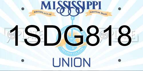 1SDG818 Mississippi License Plate