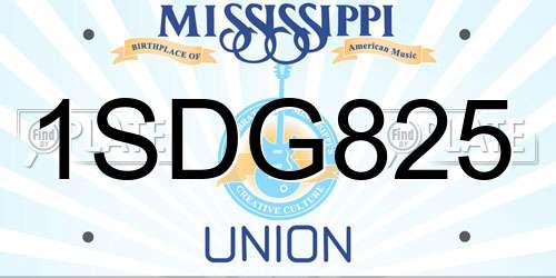 1SDG825 Mississippi License Plate
