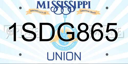 1SDG865 Mississippi License Plate