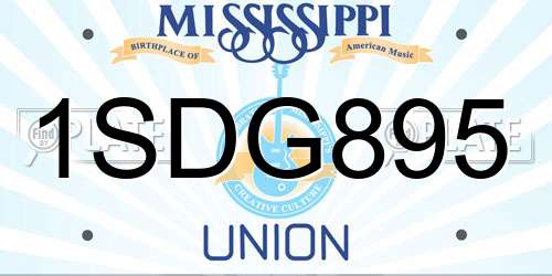 1SDG895 Mississippi License Plate