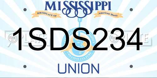 1SDS234 Mississippi License Plate