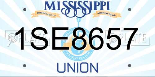 1SE8657 Mississippi License Plate