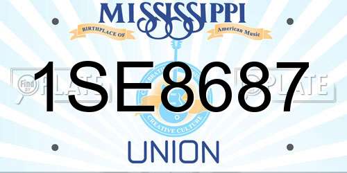 1SE8687 Mississippi License Plate