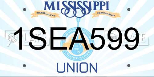 1SEA599 Mississippi License Plate