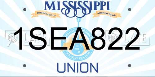 1SEA822 Mississippi License Plate