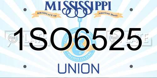 1SO6525 Mississippi License Plate