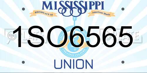 1SO6565 Mississippi License Plate