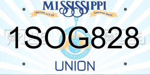 1SOG828 Mississippi License Plate