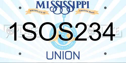 1SOS234 Mississippi License Plate