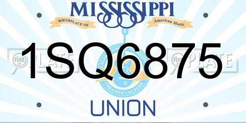 1SQ6875 Mississippi License Plate