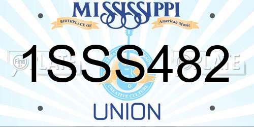 1SSS482 Mississippi License Plate