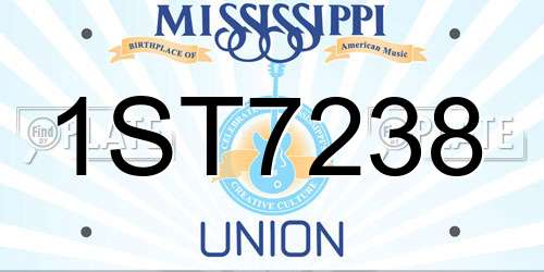 1ST7238 Mississippi License Plate