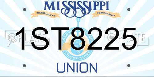 1ST8225 Mississippi License Plate