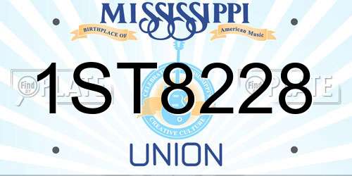 1ST8228 Mississippi License Plate