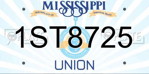 1ST8725 Mississippi License Plate