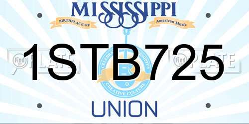 1STB725 Mississippi License Plate
