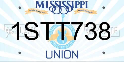 1STT738 Mississippi License Plate