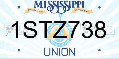 1STZ738 Mississippi License Plate