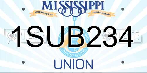 1SUB234 Mississippi License Plate