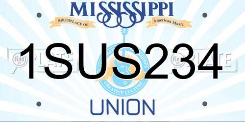 1SUS234 Mississippi License Plate