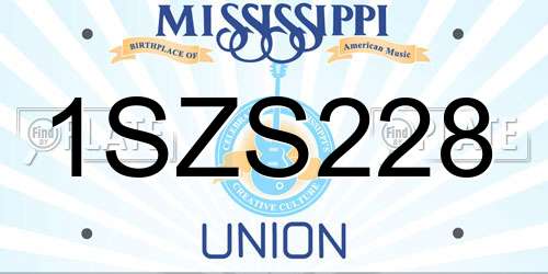 1SZS228 Mississippi License Plate
