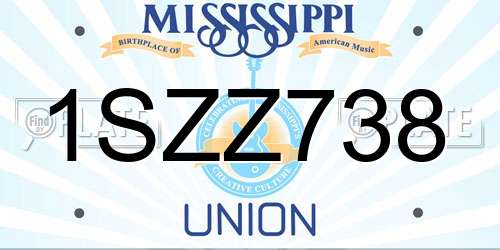 1SZZ738 Mississippi License Plate