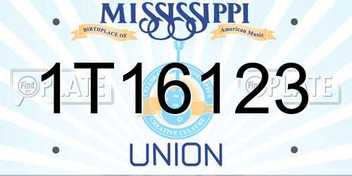 1T16123 Mississippi License Plate