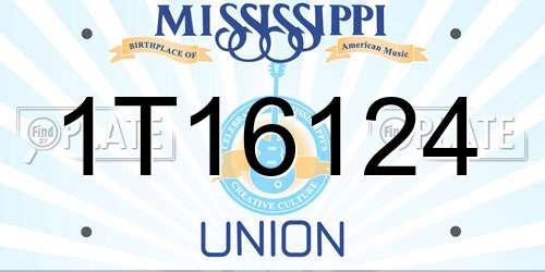 1T16124 Mississippi License Plate
