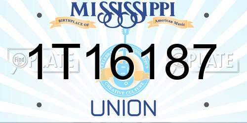 1T16187 Mississippi License Plate